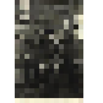 Фотография. Портрет групповой (3 чел.). Крайний слева - Родичев И.С