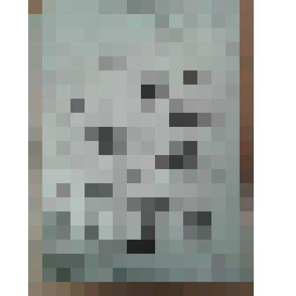 Фотография черно-белая. Служащие электрической станции Товарищества А. Ф. Второв с с-ми