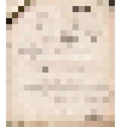 Телеграмма № 3029 в г. Чердынь В.Н.Алину от Собенникова и Мамонтовых из г. Тюмени, 14.10.1909 г