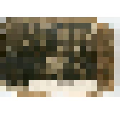 Фотография групповая. Ф.О. Шишов, член полкового комитета 97-го стрелкового полка среди сестер и племянников в октябрьские дни