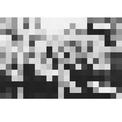 Фото групповое. Хор ветеранов -  женщин. Изображены в два ряда, I ряд – Бугаенко В.Ф., Коблова Н. А., Кузьмина К.А., Камаева О.Г., Гамаюнова А.Н., II ряд – Житченко А.П