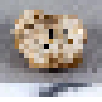 Нуклевидный отщеп