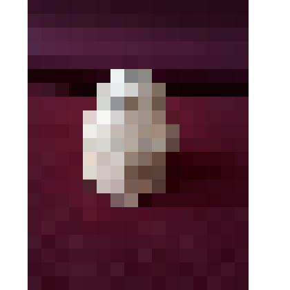 Волчок (игрушка)