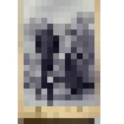 Фотография черно-белая. Павел и Николай Сысоевы