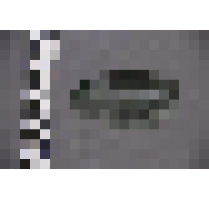 коллекция В.Ф. Лагодича. Талисман каменный лежачий, выполнен в виде головы человека. С правой и левой стороны от лица прорезаны волосы. Камень зеленого цвета