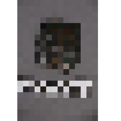 коллекция В.Ф. Лагодича. Талисман на металлической пластине, по мотивам изваяний окуневской культуры. Подпрямоугольная пластина с изображением 3-хглазой личины, в «короне». Разделена на 2 части тремя волнистыми линиями по уровню – глаза; – нос, рот