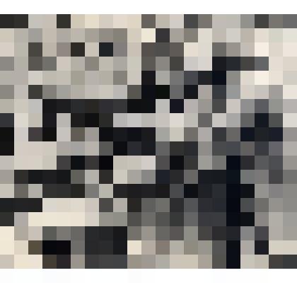 Фотография В.Л. Долгушина