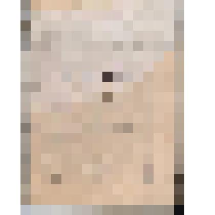 Книга. "История искусств. Архитектура, скульптура, живопись"