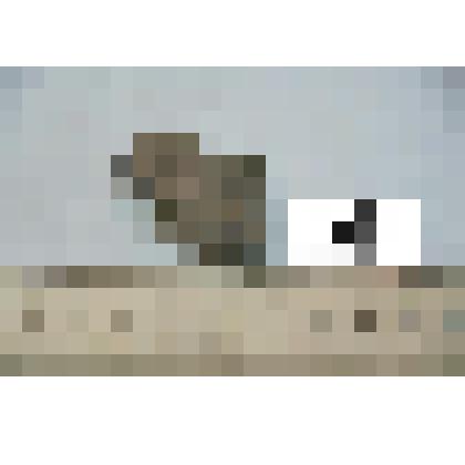 Фрагмент стенки сосуда