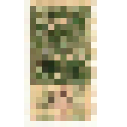 Марки почтовые. Марка почтовая. 75 коп (зеленый).Надпись "Гербовая марка"  по верхней части круга,с изображением царской короны в центре круга и царского герба внизу. На лицевой  стороне чернильный штамп "5 руб"