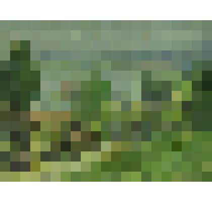 Картина. На Оке