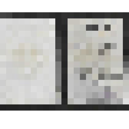 Документ. Диплом серия Б № 215585 Двойникова А.С. об окончании Ивановского государственного медицинского института.  Из коллекции материалов о Двойникове Александре Сергеевиче (1917-1984), уроженце деревни Захариха Юрьевецкого уезда Костромской губернии,