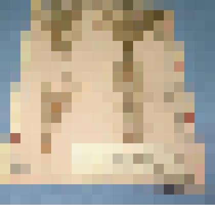 Ботаническая коллекция. Сосна обыкновенная,  на гербарном листе, Минусинский сосновый бор. Pinaceae Pinus  silvestrim