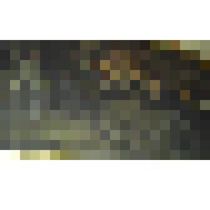 Совет в Филях