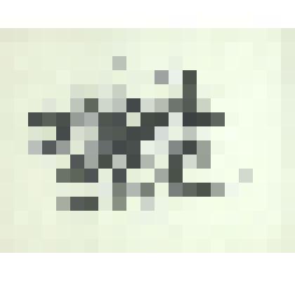 «EX LIBRIS У Шевелевой».1973