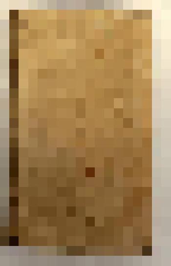 Книга на латинском языке. Afanasii Kircheri e soc. Jesu Magneticum naturae regnum... - Amstelodami: Ex officina Joannis Janssnii a Waesberge et Vidua Elizei Weyerstraet, б.г. [XVII в.]