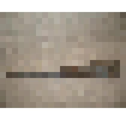 Рог неизвестного животного