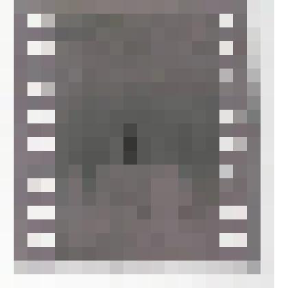 Фотонегатив. Из комплекта: Архив Н.И. Артеменко-Толстой