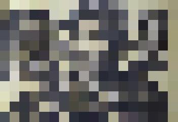 " Чабан". Картина