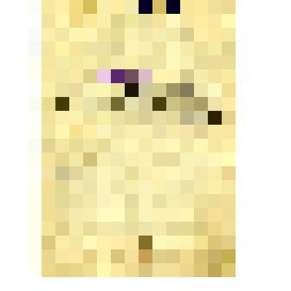 Расчетная книжка