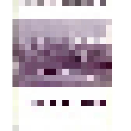 Информационный бюллетень