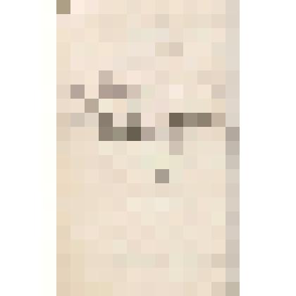 Развод Григория Васильевича (фамилия неразборчива) с Михаилом Аристарховичем Никитушным, 18.06.1904 г