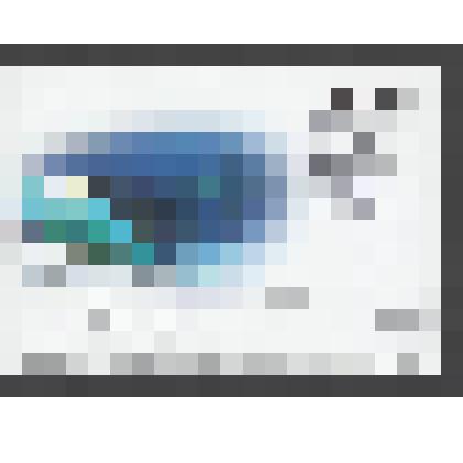 Карточка со специальным гашением. РФ. ИТЦ "Марка"-2016/203-ш. 55 лет первому продолжительному космическому полёту. Москва. 05. 08. 2016