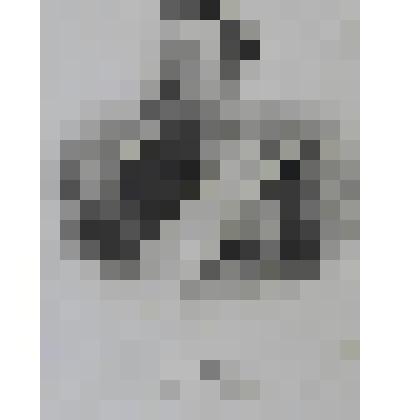 Портрет Альфреда, герцога Эдимбургского