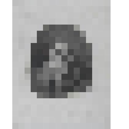 Портрет Л.Кранаха