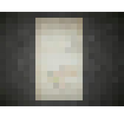 Геометрический специальный план Рязанской губернии Сапожковского уезда Александровки