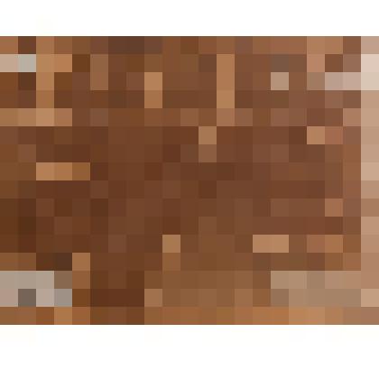 К.А. Коровин на этюдах