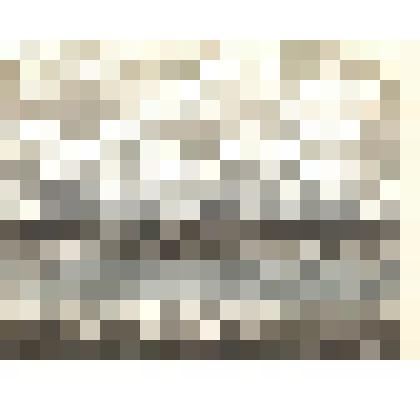 Литография «Деревня у озера». Из серии «Письма из Ферапонтова»