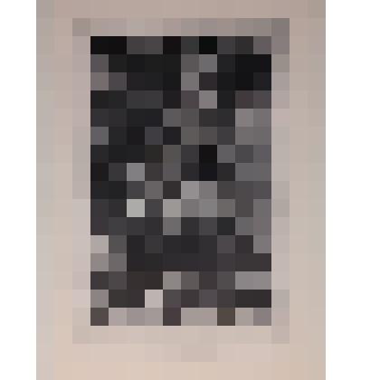 Exlibris B. Schneberg