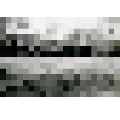 Негатив. М.А. Шолохов среди родственников и знакомых во дворе дома