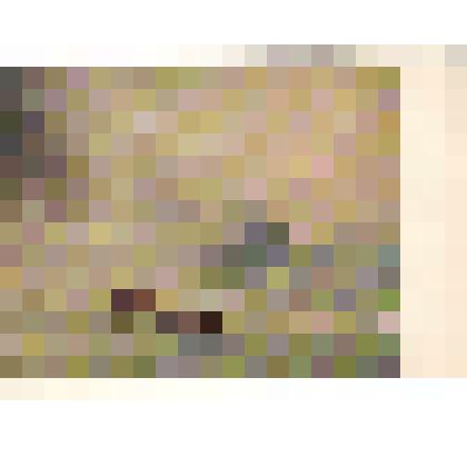 Открытка художественная. Радуга. 1873 г. Художник: И.К.Айвазовский. (1817 -1900)