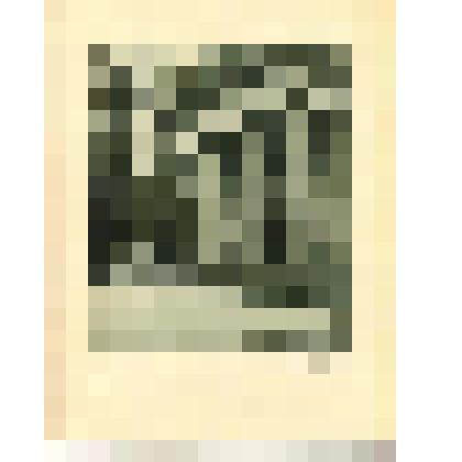 Фото-тинто-гравюра. Портик мавзолея "Супругу-благодетелю". (С фотографии Н. Г. Матвеева). Из комплекта печатной графики "Историческая панорама Санкт-Петербурга и его окрестностей. Часть шестая. Павловские дворцы и дворцовый парк"