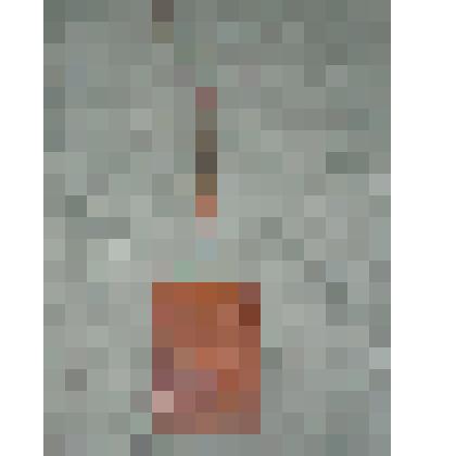 Совок для выгребания угля