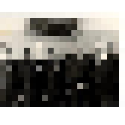 Фотография. Слева направо Кудряшов И.И., Соколов П.М., Степашин М.В