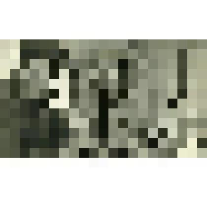 Фотография. А.Ф. Паша, заведующий хатой-лабораторией колхоза имени Ильича за определением веса зерна