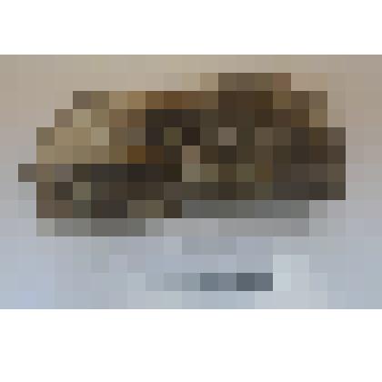 Агато – халцедоновая жеода 
с вкраплениями минерализированных 
глин и палеонтологического дерева