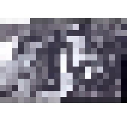 Фотография. Кассиль Л.А