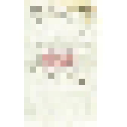 Письмо Е. Л. Ружицкого Мартьянову с уведомлением   об   отправке   образцов металлургического золота и ящиков, в которых    они    были    отправлены    на Нижегородскую            выставку, о предстоящей поездке в С.-Петербург