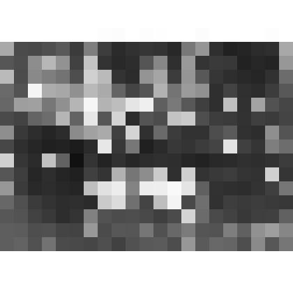 Фотография групповая, комсомольского и партийного актива п. Камешково на учёбе в г.Коврове