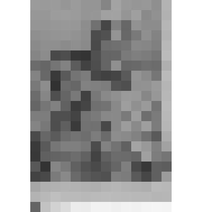 Фотография. Артист Мосин-Новосельский Михаил Сергеевич