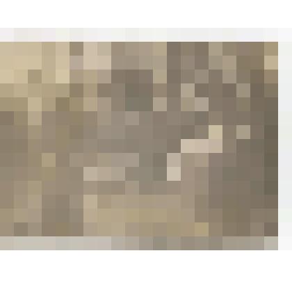 Фотография. Медработники с.Сольцы