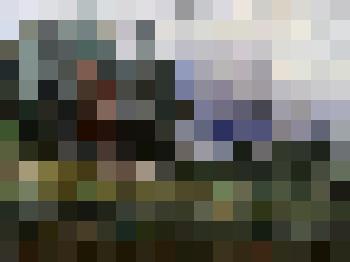 Этюд. Летний день