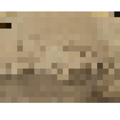 Фотография. Енисейская городская дума