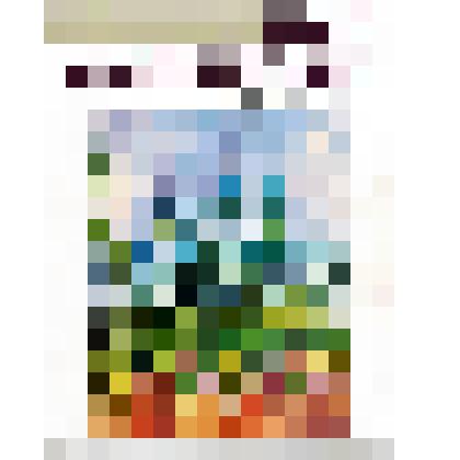 Научно-популярный журнал "Край Смоленский" №4, 2019