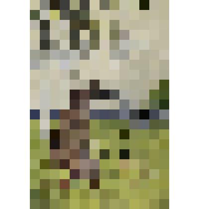 Карточка почтовая "Волк и журавль"