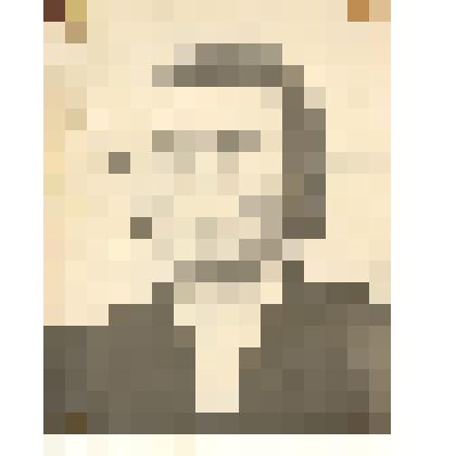 Фотография: Толстошеева Валентина Васильевна, доярка Бурлинского отделения совхоза "Путь Ильича" Крутихинского района Алтайского края